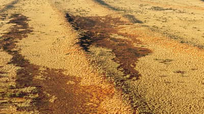 The front cover of Bushtracks Spring 2023 newsletter shows burn scars on spinifex country at Pilungah Reserve.