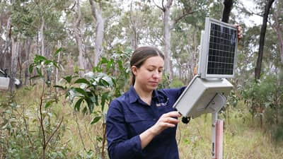 Daniella Teixeira checks one of the acoustic recorders at Yourka, Jirrbal & Warrungu Country. Photo by Eliza Herbert.