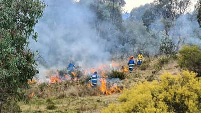 A cultural burn in progress.