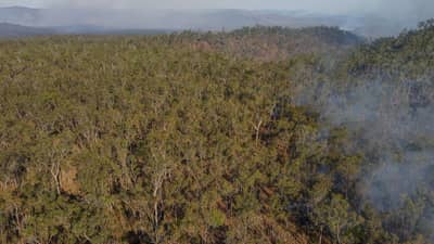 Drone footage of burns at Yourka Reserve (Queensland).
