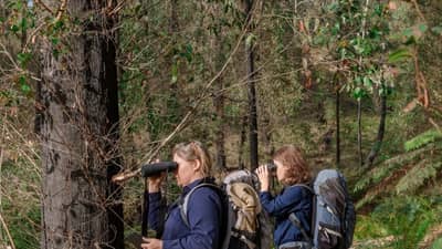 The front cover of Bushtracks Summer 2024 newsletter shows Bush Heritage staff conducting ecological monitoring at Burrin Burrin Reserve.