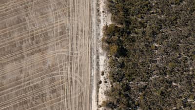 Aerial view of cleared paddock next to vegetation.