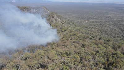 A bushfire progressing through bushland on Carnarvon Station Reserve, Bidjara Country, Queensland.