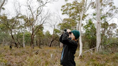 Rebecca McFarlane, looking through binoculars in bushland at Plassey.
