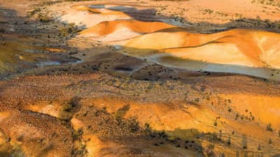 Cover of Bushtracks Magazine Winter 2025, featuring the yellow and white ochre landscape of Evelyn Downs Reserve.