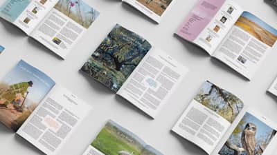 Spread of Bushtracks magazine layouts.