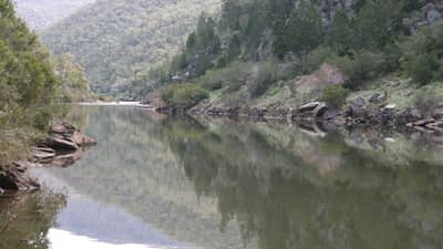 The Murrumbidgee, a wide river, runs through forested hills at Scottsdale Reserve.