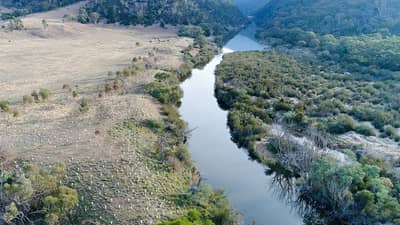 Aerial view of revegetation work on the Murrumbidgee River at Scottsdale Reserve.