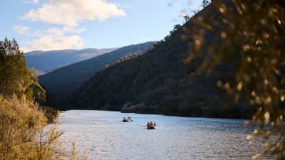 Volunteers kayaking on the Murrumbidgee River.