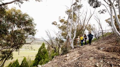 Volunteers on Scottsdale Reserve.