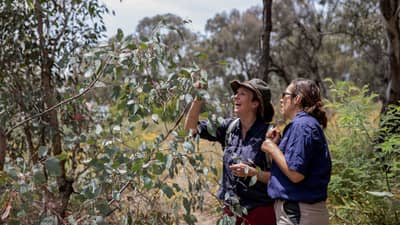 Kelly Price and Vikki Parsley assessing a cultural burn at Tarcutta Hills Reserve.