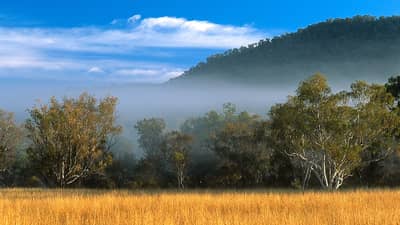 Bluegrass grassland on the Channin Creek floodplain.