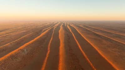 Dune-scape on Ethabuka Reserve.
