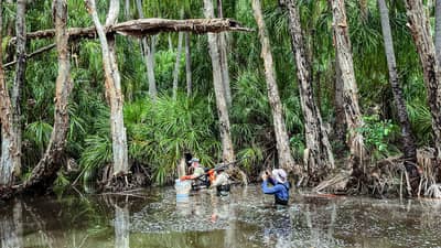 Bush Heritage staff undertaking freshwater surveys at Reedy Creek.