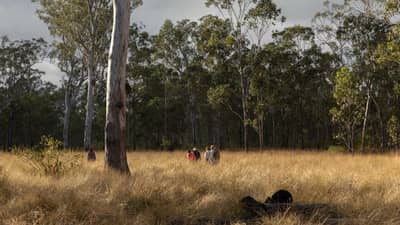 A small group walking through the grasslands at Yourka Reserve in Queensland.