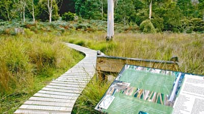 Interpretive sign on walking track through the Liffey River Reserve.