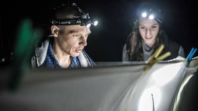 Nikolai Tatarnic (WA Museum) and Paige Maroni (PhD student) blitzing for bugs on Hamelin