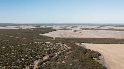 Remnant vegetation at Dodgey Downs alongside neighbouring Bush Heritage Reserves.