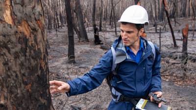 Bush Heritage ecologist Matt Appleby inspects a burned tree trunk standing in a bare, bushfire-blackened forest at Burrin Burrin Reserve.
