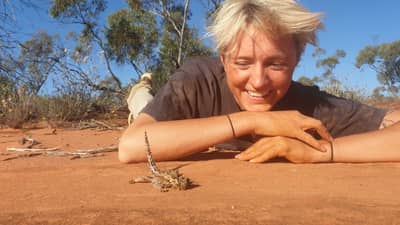 Intern Verity Carscadden observes a Thorny Devil.