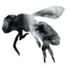 Bee icon.