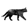 Cat icon