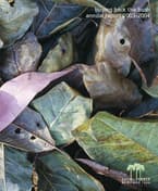 Cover of Annual Impact Report 2003-04.