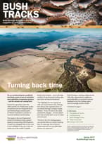 Newsletter cover spring 2017