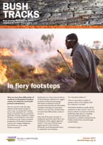 Summer 2017 newsletter