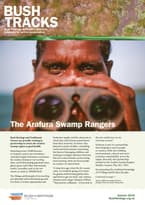 Bush tracks autumn 2018