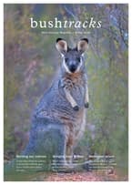 Winter 2018 newsletter