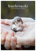 Cover of Bushtracks Autumn 2019.
