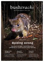 The front cover of Bushtracks Winter 2019 newsletter from Bush Heritage Australia.