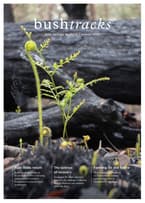 Cover of Bushtracks Autumn 2020.
