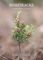 Bushtracks 2024 Spring