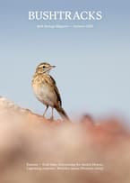Cover of the Bush Tracks Autumn 2025 magazine. Featuring an Australian Pipit.
