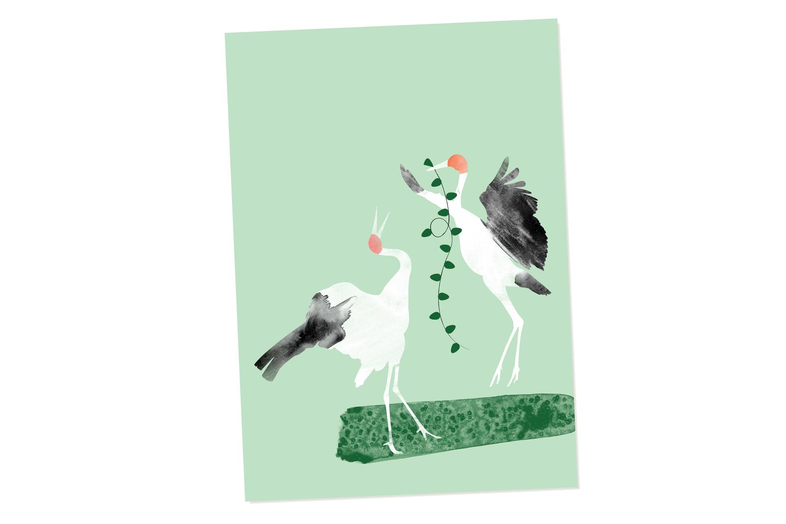 Dancing Brolgas Gift Card.