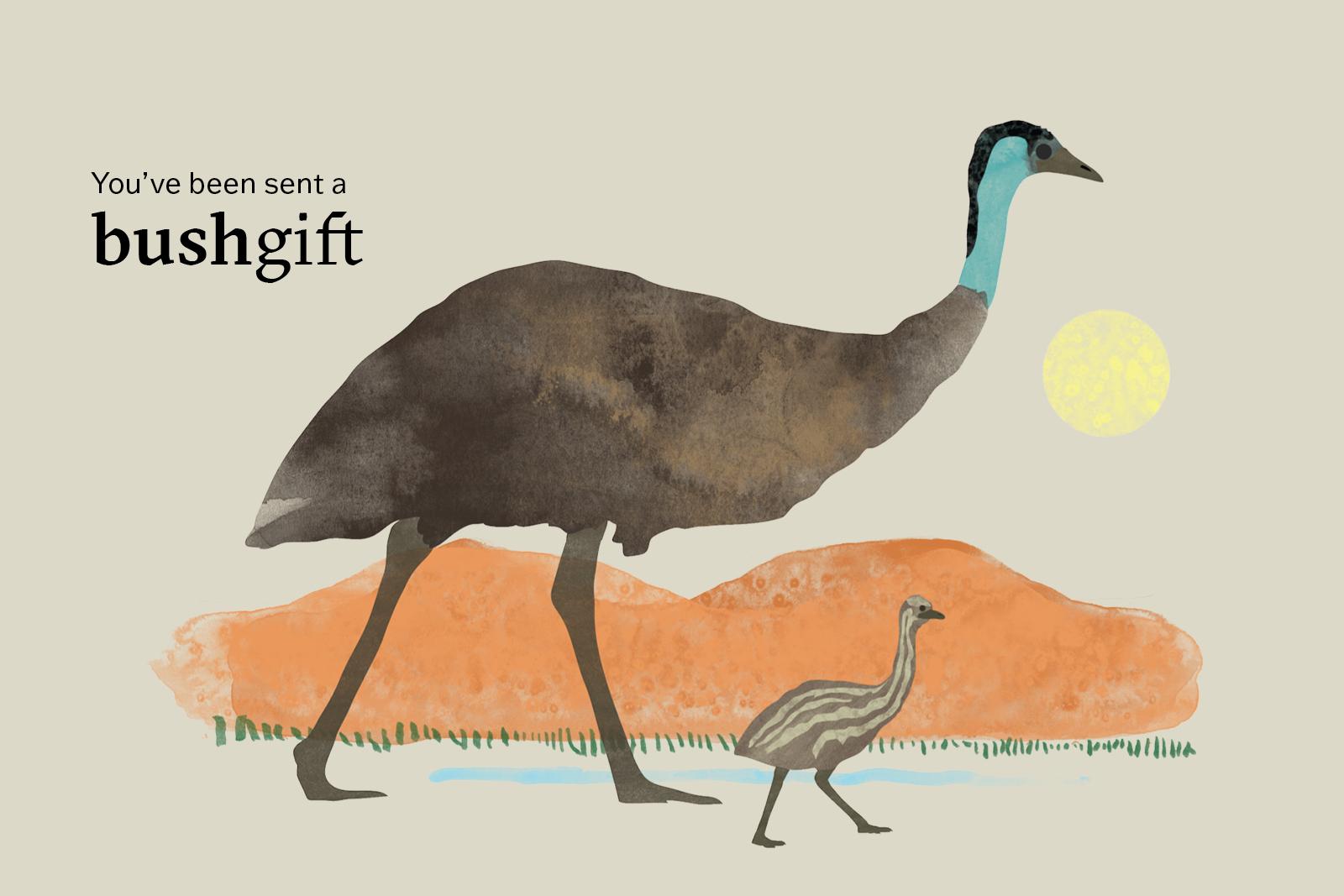 A father emu walking with an Emu chick with the text: You've been sent a bushgift.