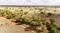 Aerial view of pastoral land with a strip of frees but mostly cleared grassland.