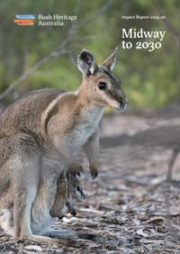 Cover of the Bush Heritage 2025-2026 Impact Report featuring a Bridled Nailtail Wallaby.