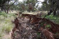 Erosion gully filled with a sediment trap.