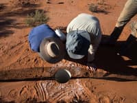 Examining a fauna pitfall trap.