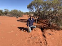 Bon Bon Field Officer Sam Fischer mapping a very active rabbit warren