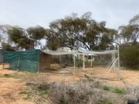 The upgraded chicken coop.