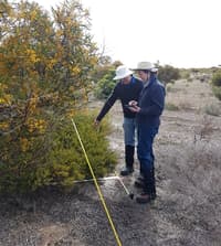 Plant intercepts Monjebup North Reserve.