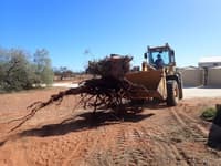 Ripping the stumps out and taking them to the burn pile.
