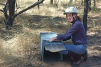 Jo readying a trap for pre feeding at Avocet.