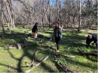 Hand weeding invasive thistles.