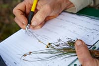 Flora survey notes.