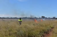 Ullula burning the spinifex.